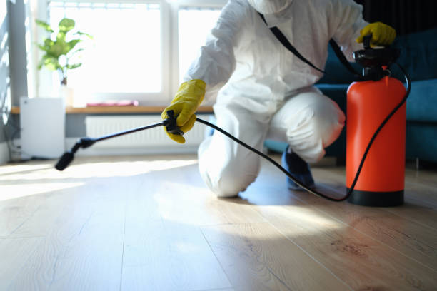 Reliable Infectious Disease Decontamination contractor in Groveland, ID by Trauma Clean Pros